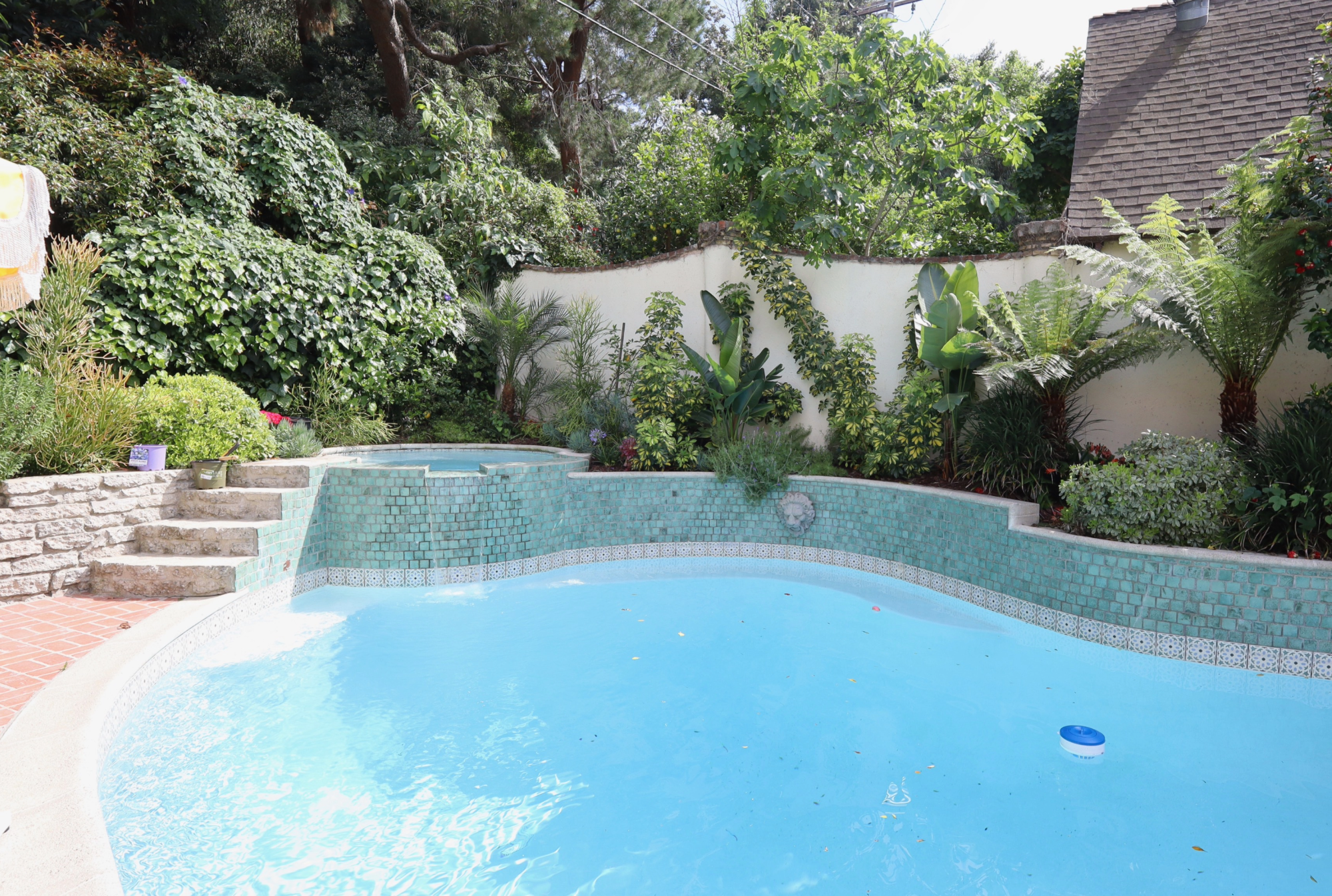 Resize image project-2